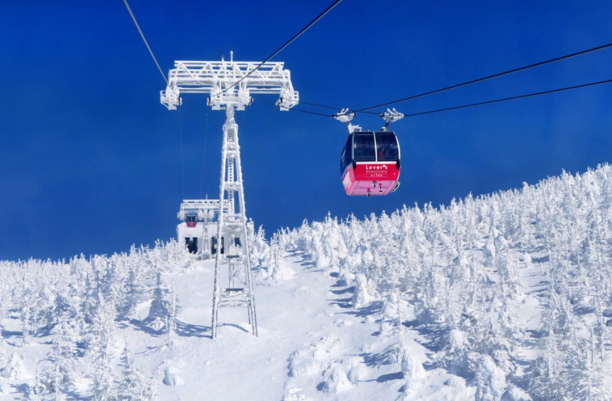 NIKKO TOHOKU WITH POWDER OF SNOW 8D 5N (GOSHIKINUMA SNOWSHOE)