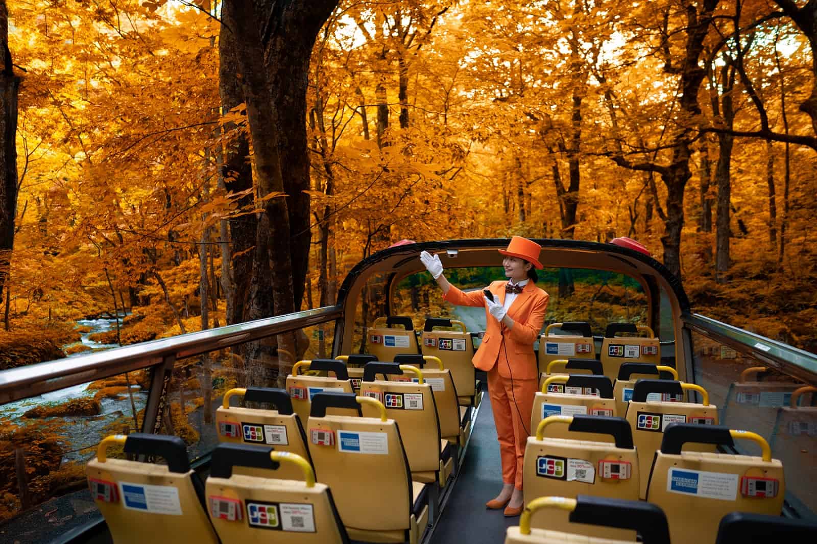 HAPPINESS TOHOKU DELUXE (DAY FLIGHT)