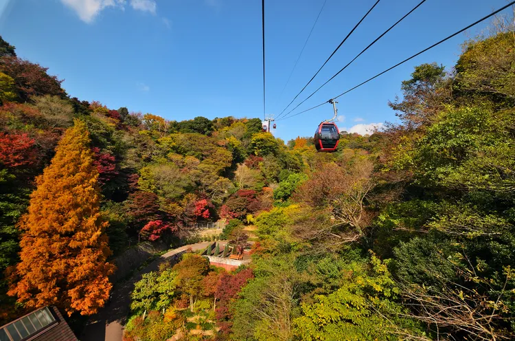HAPPINESS HIDDEN GEMS IN SHIKOKU (DOGO ONSEN+IYA ONSEN)
