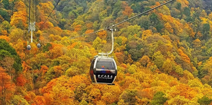 Chongqing Beauty in Autumn ฉงชิ่ง เขากวงอู้ซาน