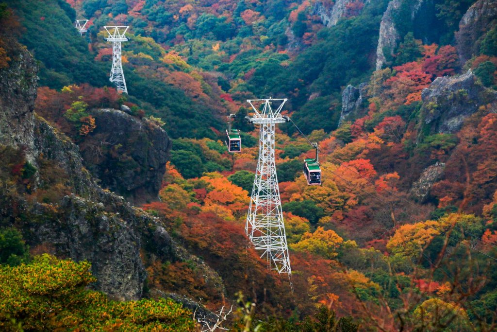 HAPPINESSAUTUMN SCENIC OF 3 ISLANDS SHIKOKU-OSAKA