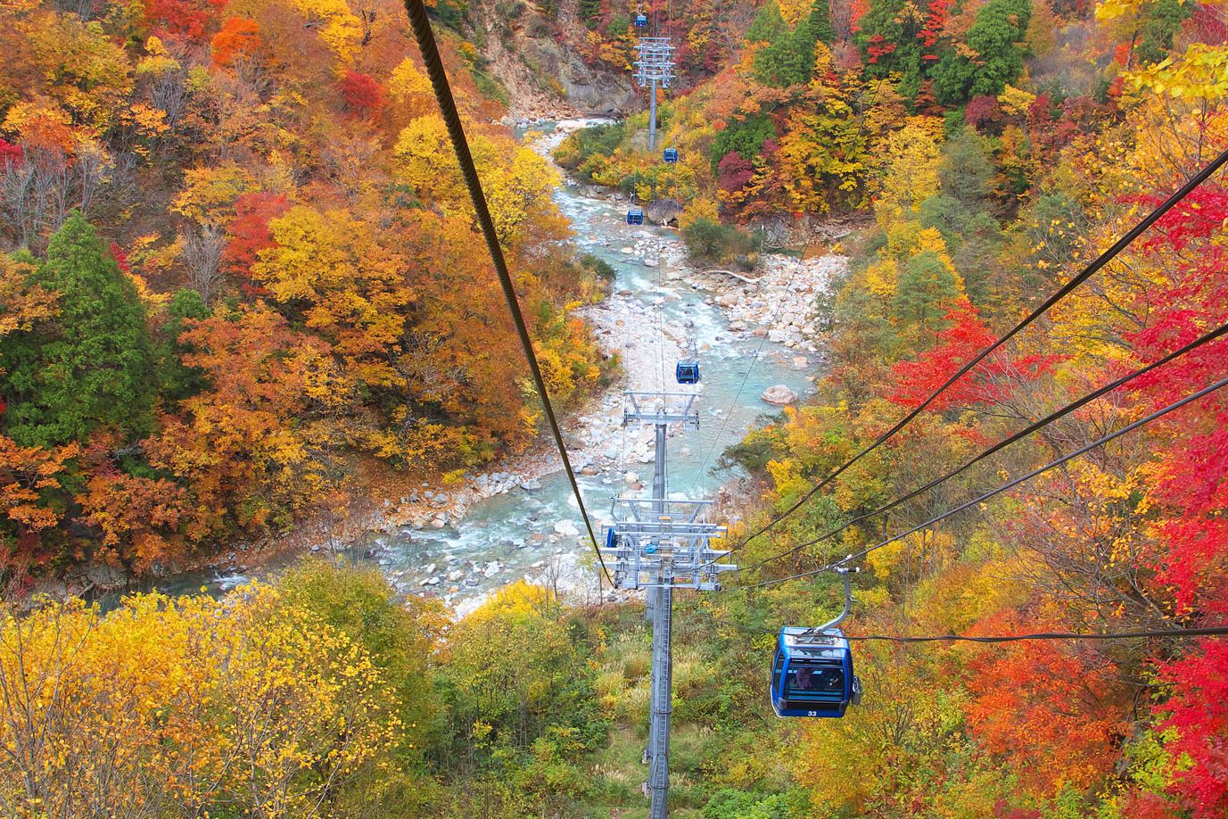 HAPPINESS ELEGANCE HAKUBA AUTUMN LEAVES TOP STAR ONSEN