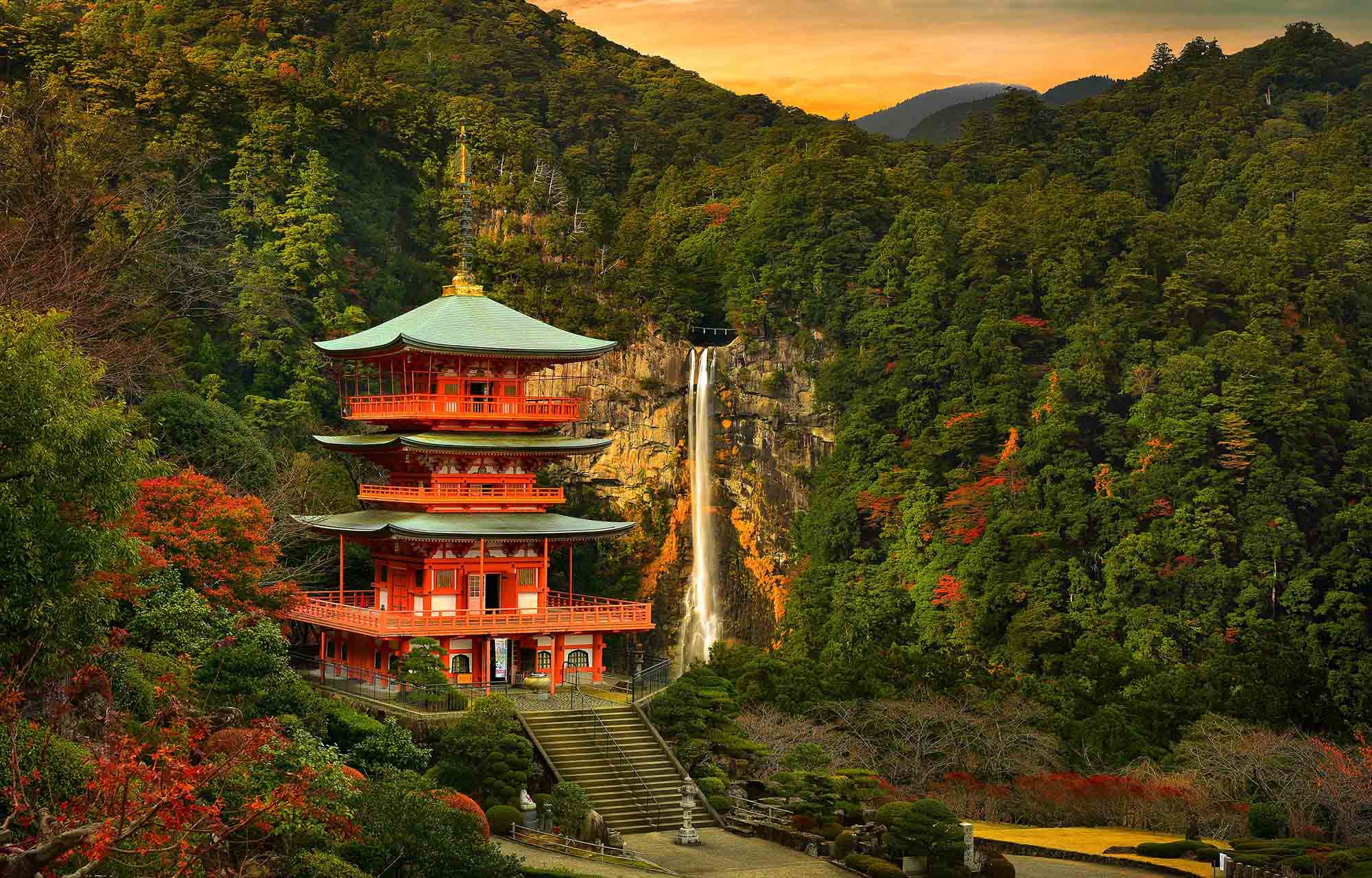 HAPPINESS LET'S EAT ELEMENTS OF FOOD WAKAYAMA TOKYO (NATURE ONSEN)