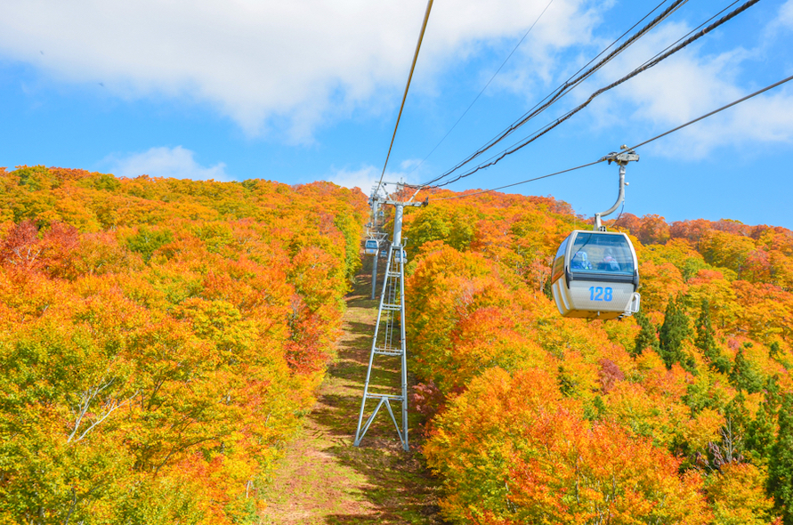HAPPINESS AKITA&SENDAI AUTUMN ELEGANCE EXPERIENCE