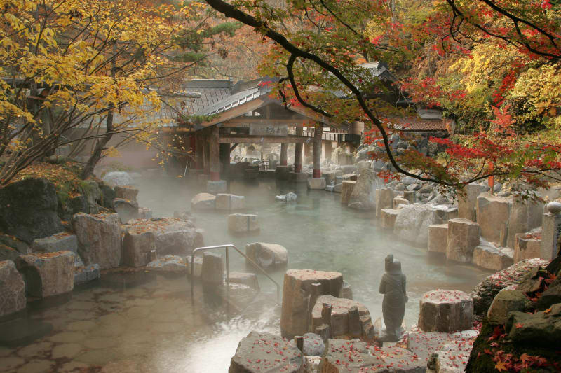 HAPPINESS ELEGANCE HAKUBA AUTUMN LEAVES TOP STAR ONSEN