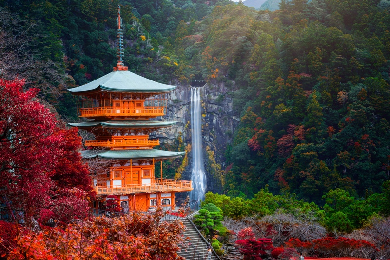 HAPPINESS LET_S EAT ELEMENTS OF FOOD WAKAYAMA TOKYO (NATURE ONSEN)